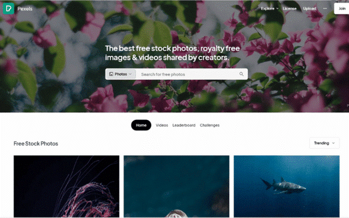 Earn with Stock Videos