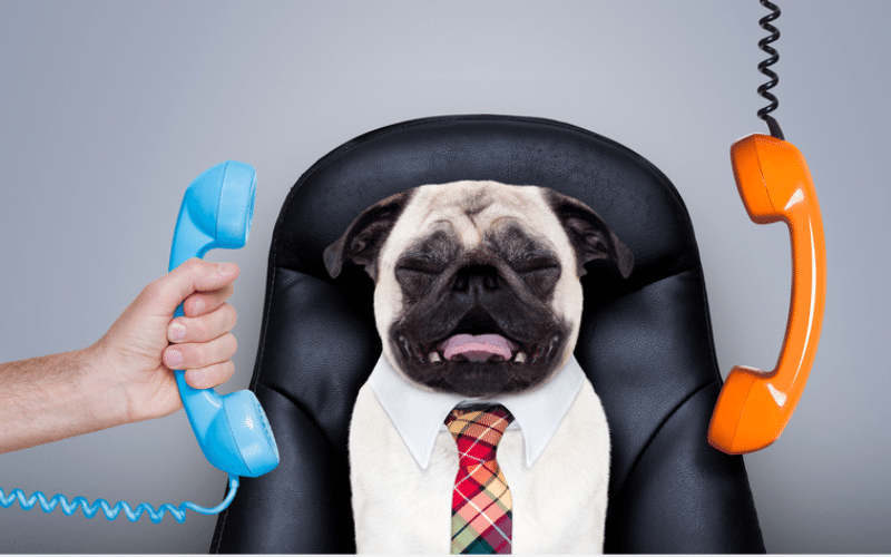 Avoid Blogger Burnout: How to Grow on Social Media without Creator Burnout!