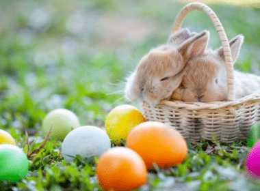 A charming scene of two small rabbits in a basket surrounded by colorful Easter eggs, perfect for festive celebrations.