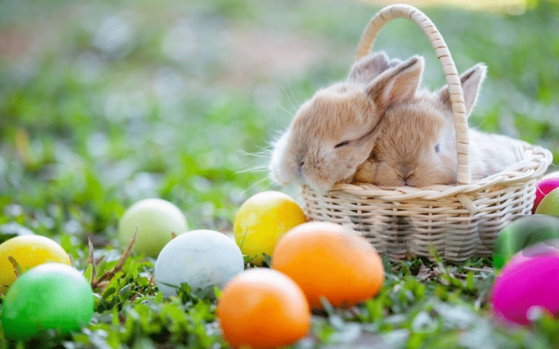 A charming scene of two small rabbits in a basket surrounded by colorful Easter eggs, perfect for festive celebrations.