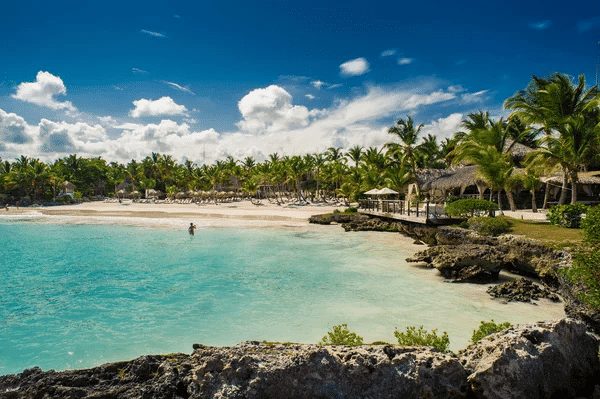 Scenic view of a Dominican Republic beach with palm trees and pristine white sand.