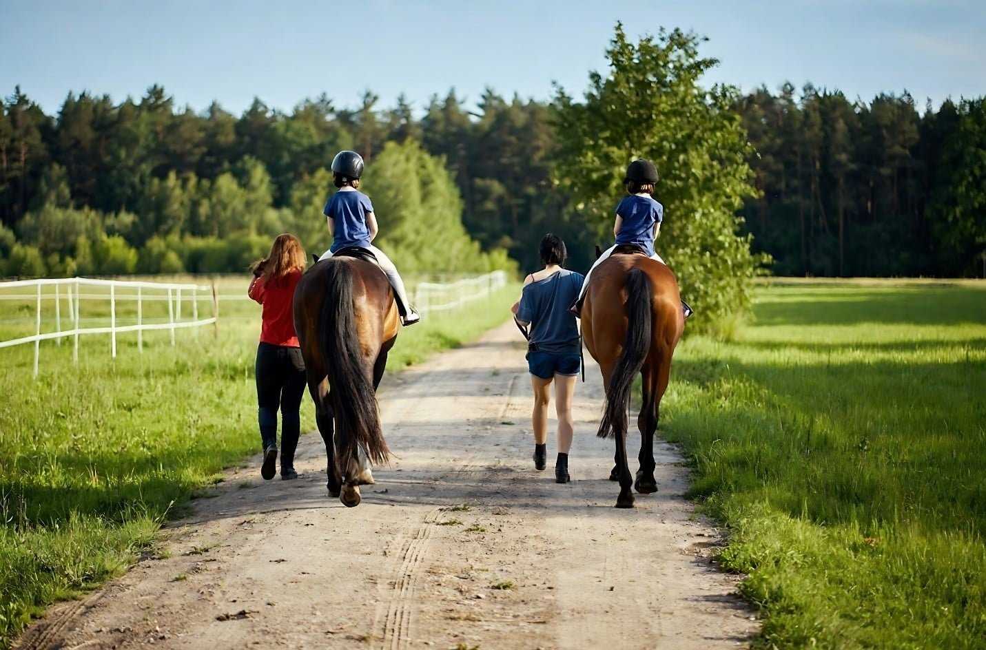 Riding Work 15 Horse Jobs That Feed Your Soul and Your Bank Account