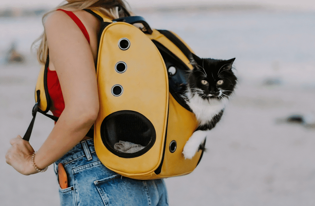 A woman carries a cat in a yellow backpack designed for pet accessories.