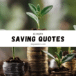 saving quotes