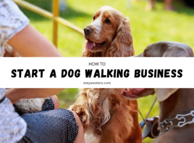 Visual guide on launching a dog walking business, featuring tips on services, pricing, and customer engagement strategies.