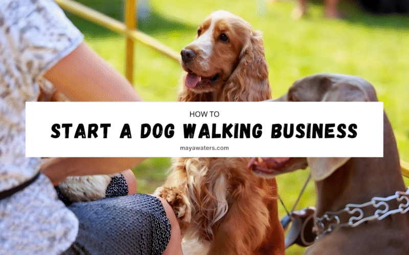 Visual guide on launching a dog walking business, featuring tips on services, pricing, and customer engagement strategies.