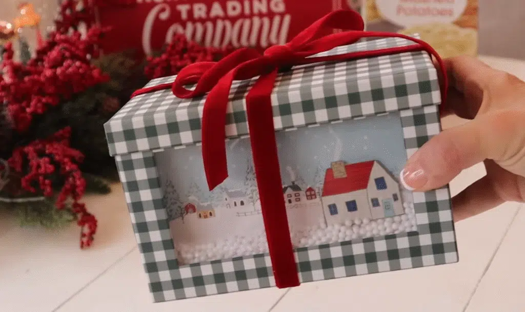 A person holds a Christmas gift box featuring a festive scene, labeled "Dollar Store Magic.