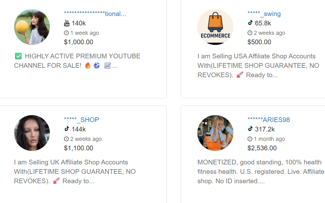 Buy Established TikTok Accounts, YouTube Channels and Theme Pages from the Most Trusted Marketplace