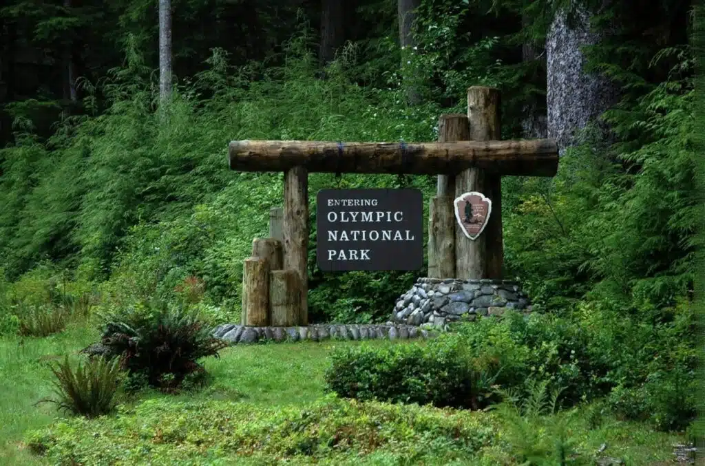 Olympic National Park entrance nestled in a lush forest, welcoming guests to discover its scenic landscapes.