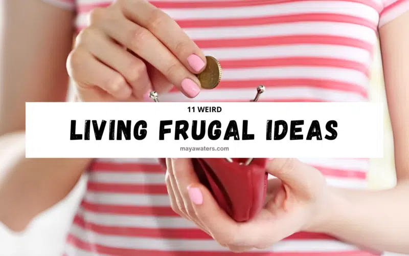 “11 Weird Living Frugal Ideas” banner with hands holding a wallet and a coin, promoting frugal living tips.