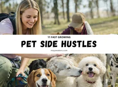 11 fast growing pet side hustles featured image with dog walker and multiple dogs outdoors.