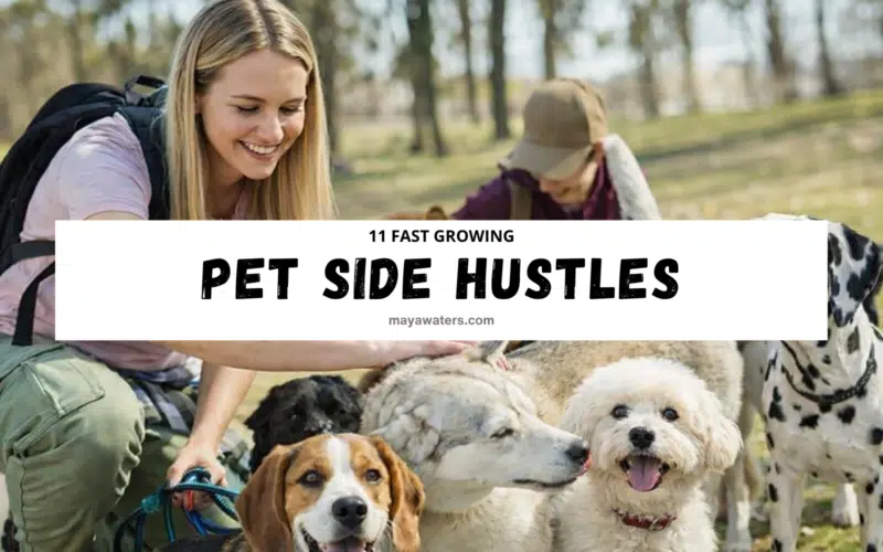 11 fast growing pet side hustles featured image with dog walker and multiple dogs outdoors.