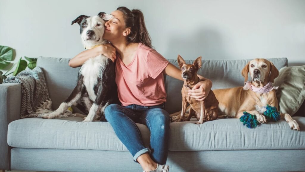 Pet sitter sitting on a couch with three dogs while learning how to start a pet sitting business.