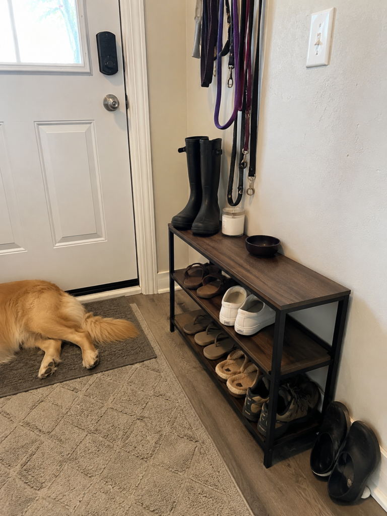 Organized shoe rack by the front door with a dog resting nearby